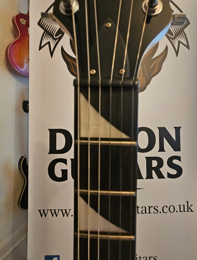 R-180 Electric Guitar